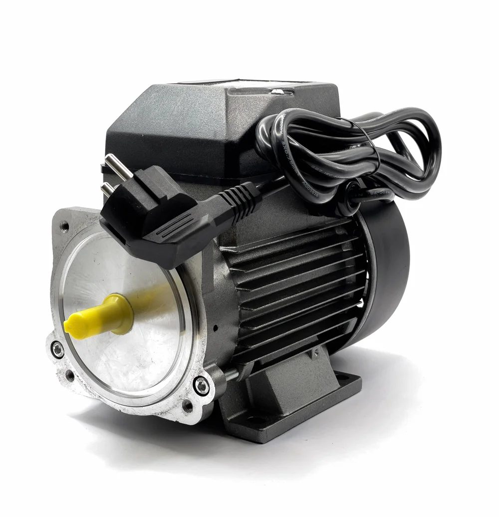 Ricambio - Motore 230V per Hornet W50