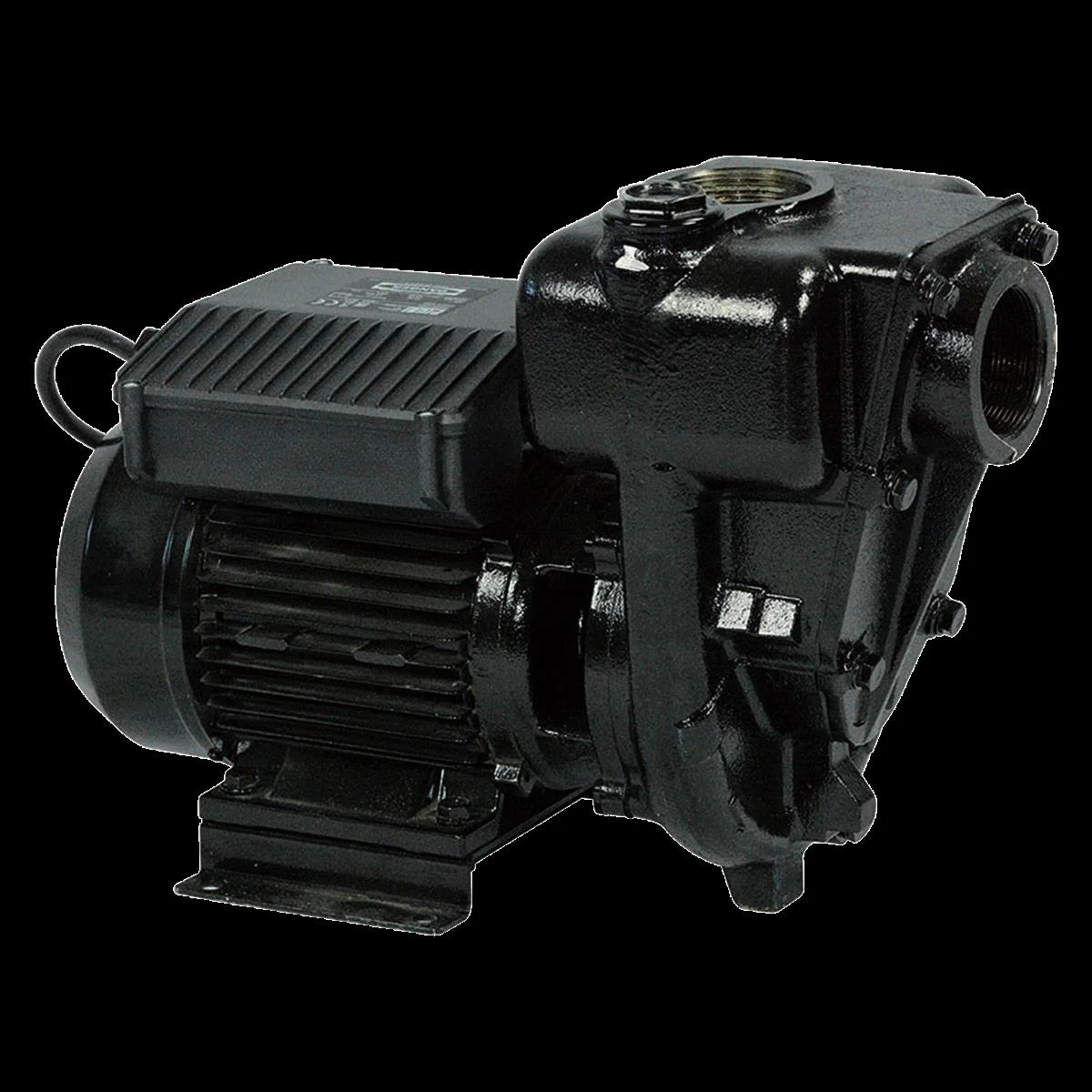 Pompa diesel E 300, 300 l/min, PIUSI