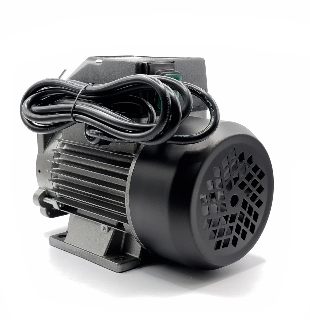 Ricambio - Motore 230V per Hornet W50
