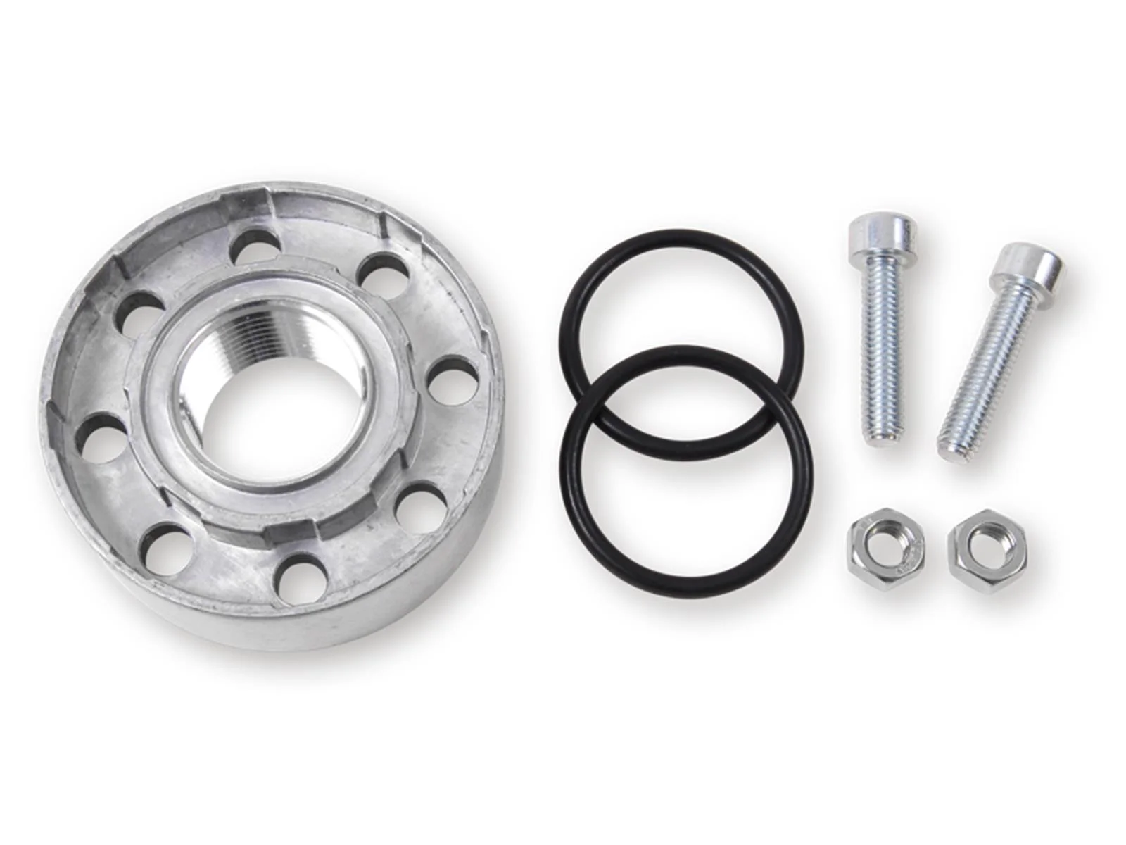 Set di flange di collegamento 1" IG per TecPump600