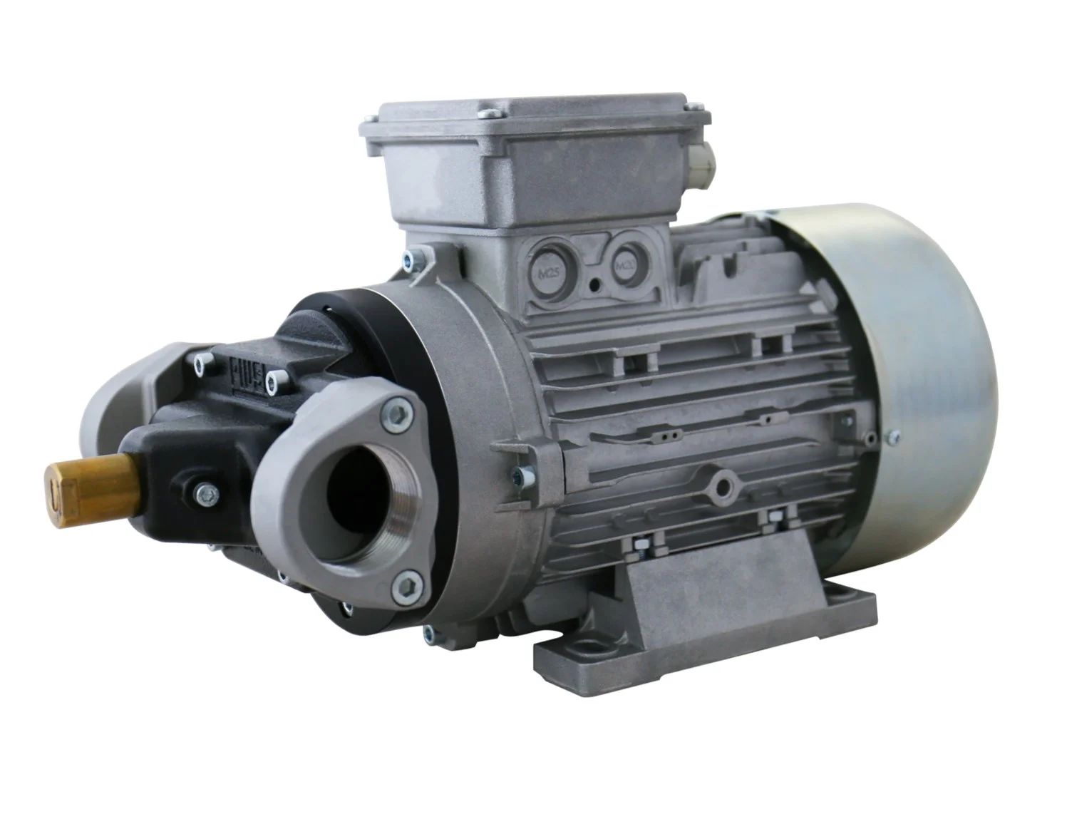PIUSI Viscomat GEROTOR 65 l/min pompa dell'olio / pompa lubrificante